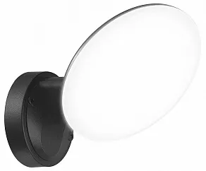 Светильник на штанге Uniel ULU-S65A ULU-S65A-10W/4000K IP65 BLACK