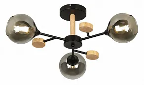 Люстра на штанге Rivoli Elouisa Б0068419