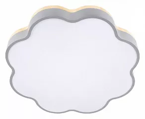 Накладной светильник Loft it Axel 10225/36 Grey