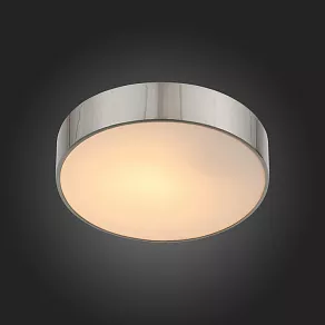Накладной светильник ST-Luce Bagno SL468.502.01