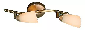 Спот Citilux Белла CL501523