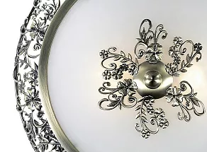 Накладной светильник Odeon Light Balasa 2726/2C