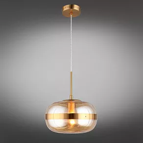 Подвесной светильник Aployt Gabriela APL.305.16.01