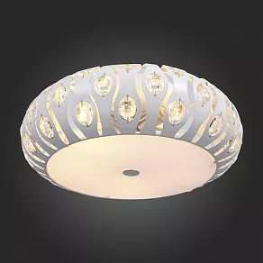 Накладной светильник ST-Luce Calma SL793.502.05