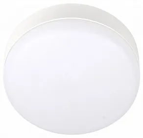 Накладной светильник Jazzway  ДПО-1014  8w 4000K  IP54