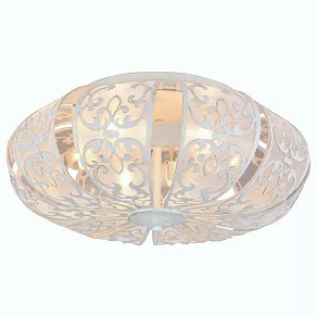 Накладной светильник Arte Lamp 5116 A5116PL-6WG