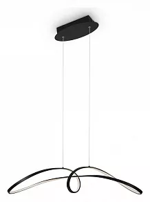 Подвесной светильник Maytoni Curve MOD156PL-L52B4K