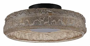 Накладной светильник ST-Luce ANTIKE SL6143.422.01