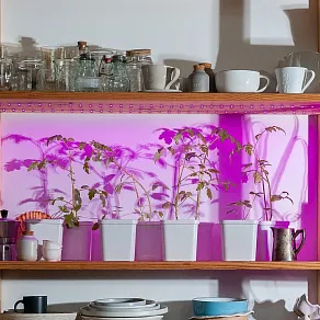 Комплект с лентой светодиодной Uniel ULS-P76 UL-00004101