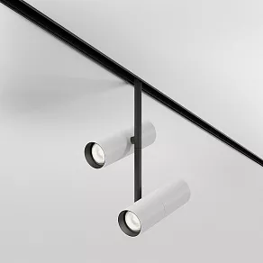 Светильник на штанге Maytoni Elti Duo TR005-2-2X12W4K-BW