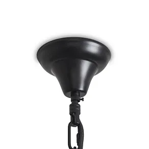 Люстра на штанге Freya Bessie FR5526PL-05BBZ