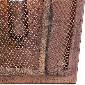 Накладной светильник Favourite Burg 1884-1W