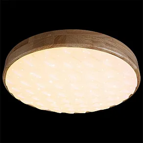 Накладной светильник Reluce  60530-0.2-60W