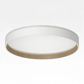 Накладной светильник Citilux ETALON CL750320R