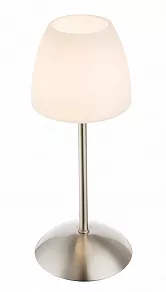 Настольная лампа декоративная Globo Tropical 21903L