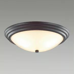 Накладной светильник Lumion Kayla 5263/3C