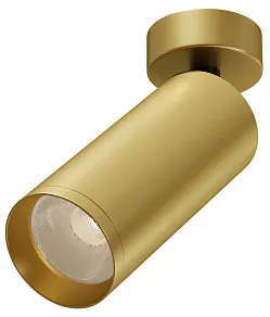Светильник на штанге Maytoni Technical Фокус C017CW-01MG-N