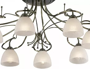Потолочная люстра Odeon Light Kaena 2120/8C