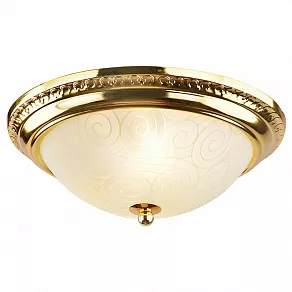 Накладной светильник Arte Lamp Alta A3013PL-2GO