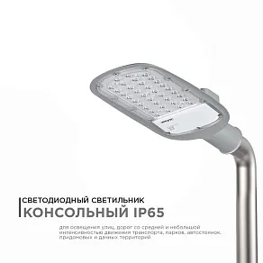 Консольный светильник Apeyron Electrics  29-01