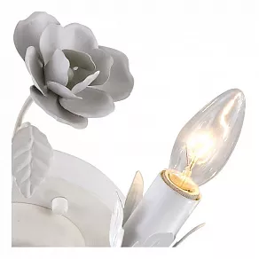 Потолочная люстра Arte Lamp Rosarium A1196PL-6WG