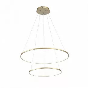 Подвесной светильник ST-Luce Erto SL904.203.02