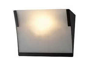 Накладной светильник Odeon Light Lan 2022/1W