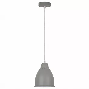 Подвесной светильник Arte Lamp Braccio A2054SP-1GY