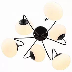 Люстра на штанге EVOLUCE Acini SL717.402.06