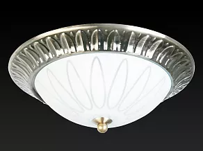 Накладной светильник TopLight Paulina TL5050Y-02AB