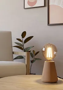 Настольная лампа декоративная Eglo ASBY 44014