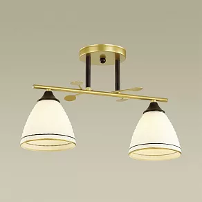 Накладной светильник Lumion Becky 4544/2C