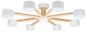 Потолочная люстра Arte Lamp TENDA A1624PL-8WH