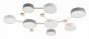 Накладной светильник EVOLUCE Dossena SLE600102-08
