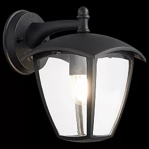 Светильник на штанге ST-Luce Sivino SL081.411.01