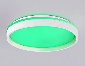 Накладной светильник Ambrella Light FZ FZ607