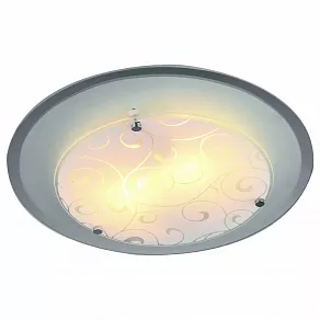 Накладной светильник Arte Lamp Ariel A4806PL-1CC