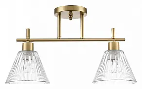 Светильник на штанге Lumion Vivian 8188/2C