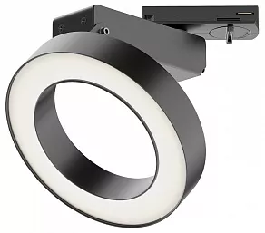 Светильник на штанге Maytoni Rim TR044-1-12W4K-B