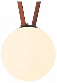 Накладной светильник Denkirs Belty Orb DK5555-BK