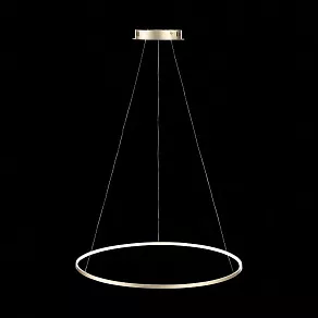 Подвесной светильник ST-Luce Erto SL904.213.01