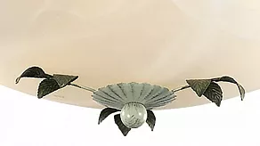 Накладной светильник Odeon Light Tender 2796/3C