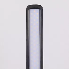 Настольная лампа офисная Elektrostandard Pele a044006