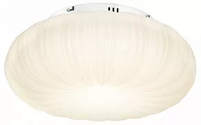 Накладной светильник Lussole Claudia LSP-0921