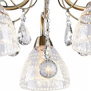 Потолочная люстра Arte Lamp  A1658PL-5AB