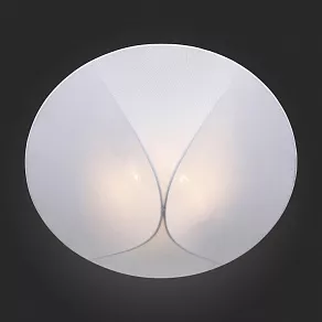 Накладной светильник ST-Luce Tonico SL360.552.02