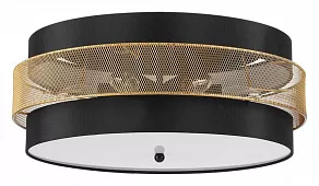 Накладной светильник Lumion Animaisa 8003/6C