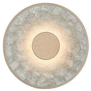 Накладной светильник Favourite Solarius 4858-1W