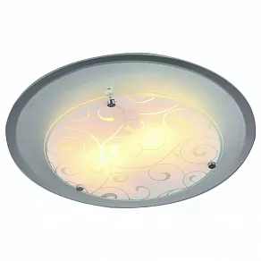Накладной светильник Arte Lamp Ariel A4806PL-2CC