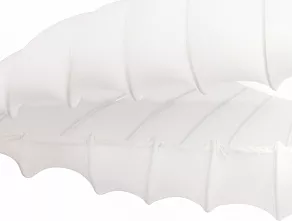 Накладной светильник Arte Lamp Botticelli A2188PL-2CC